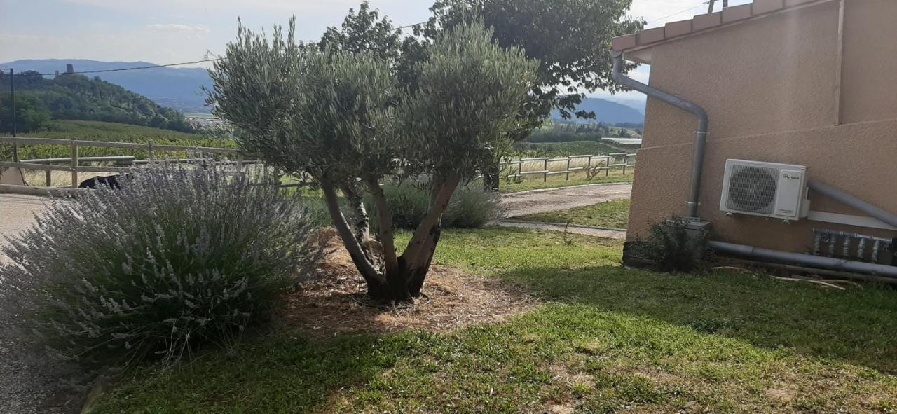 Villa Le Pressoir Mercurol-Veaunes Exterior foto